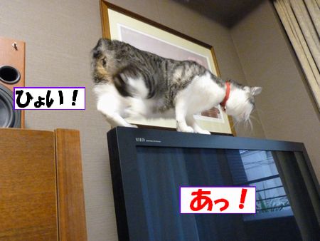 ¤Ò¤ç¤¤