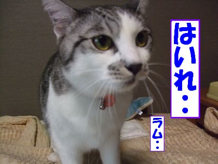 ¤Ï¤¤¤ì