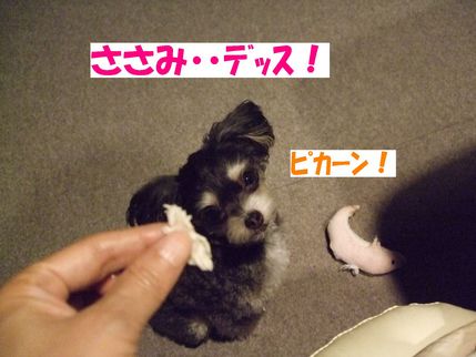 ささみ
