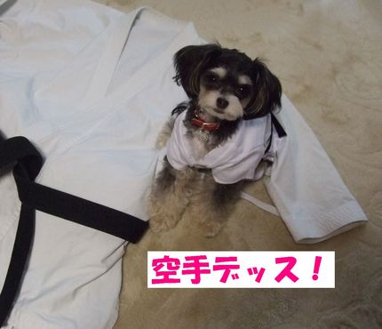 空手