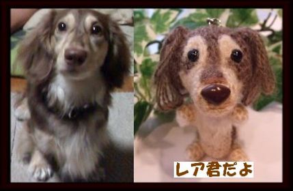 レア君アルバム