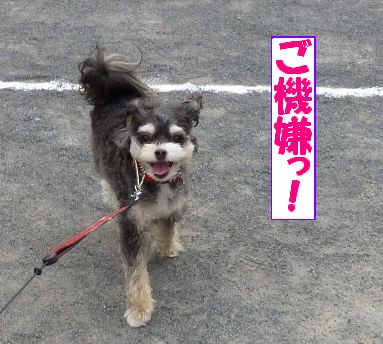 ¤´µ¡·ù