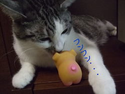 ききます
