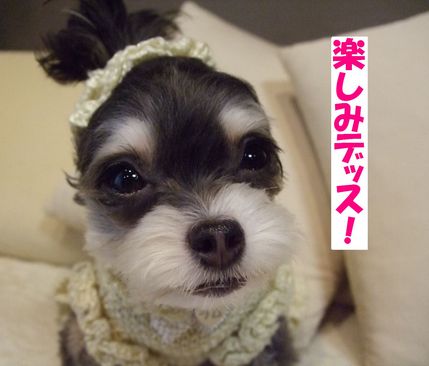 楽しみ