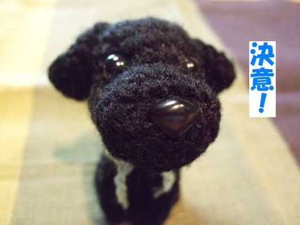 決意だよ