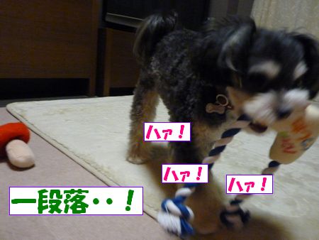 °ìÃÊÍî