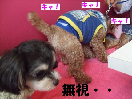 無視