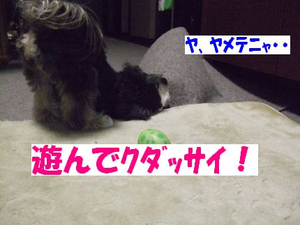 遊んで