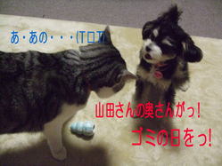 なによ