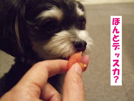 ほんと