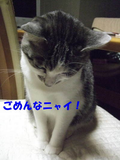 �����