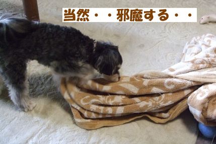 邪魔