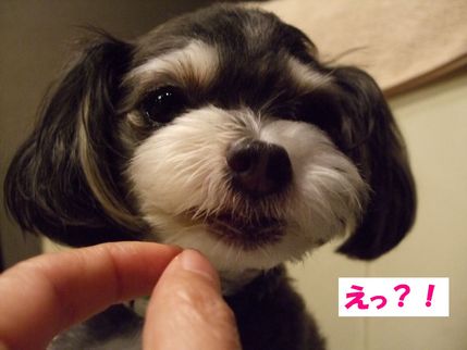 え