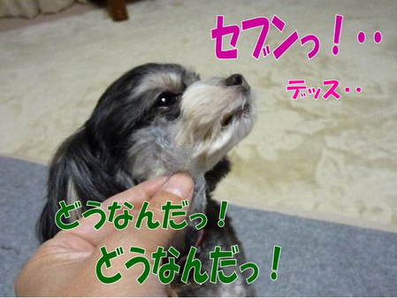 �ɤ��ʤ�