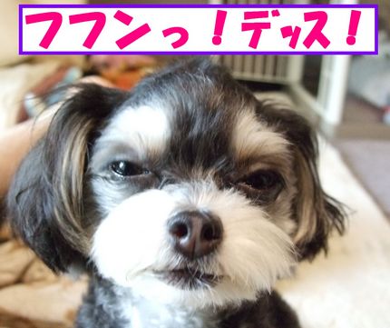 フフン