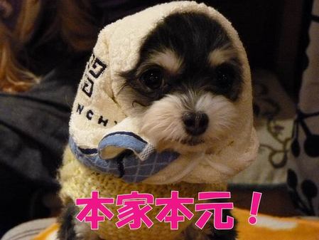 ËܲÈËܸµ