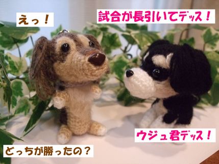 しあい
