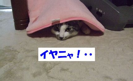 いや