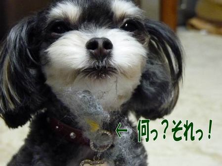 ¤Ê¤Ë¤½¤ì