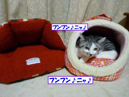 ¤´µ¡·ù