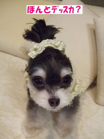 ほんと?