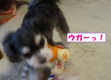 ¥¦¥¬¡¼