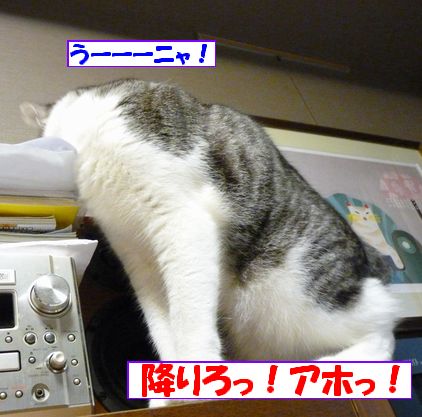 ¤¦¡¼¤ó