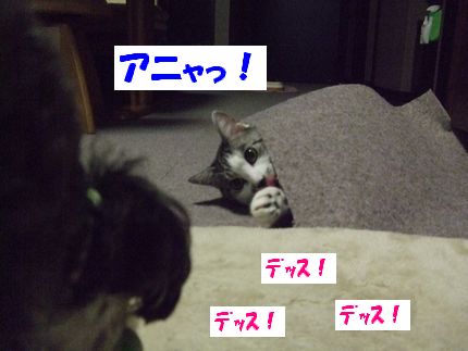 デッス