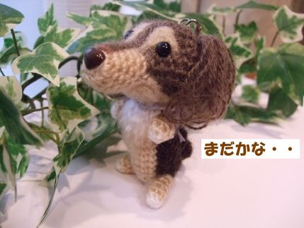 まだ