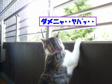 ¥ä¥Ð¥Ã