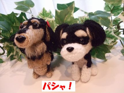 パシャ