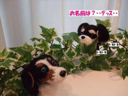 ドキドキ