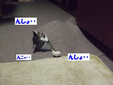 んしょ