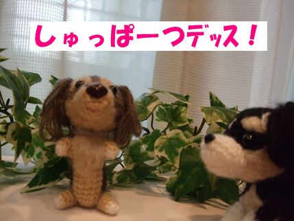行きます