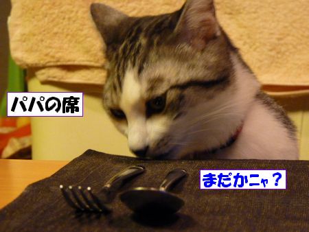 �ʤˤ��Ƥ�