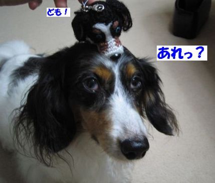 ども