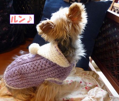 �ƥ���������