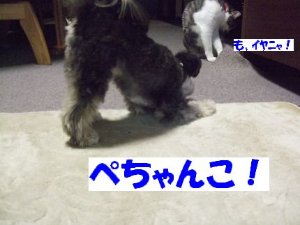 ぺちゃんこ
