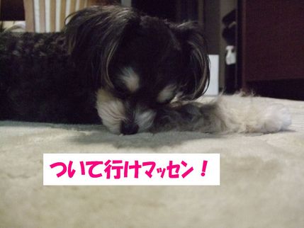 いけない