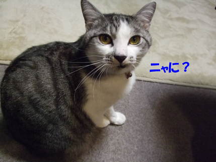 �ʤ�