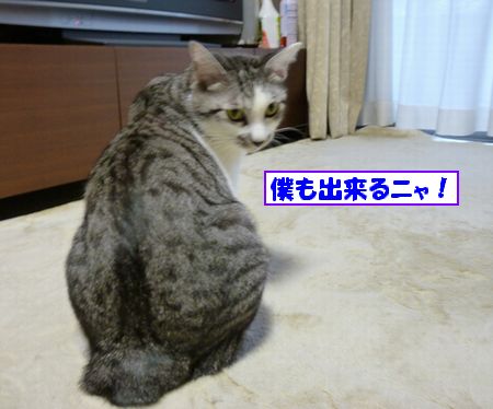 Ëͤâ