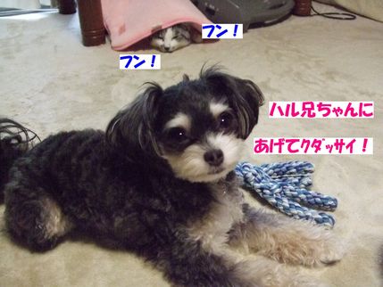 あげて