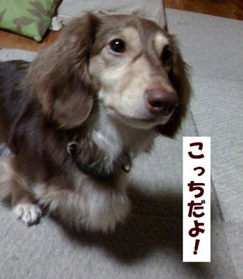 こっち