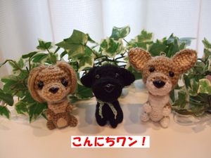 こんにちわ