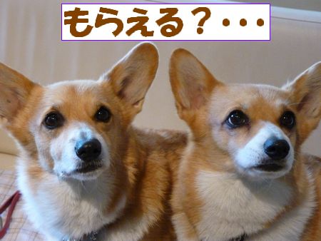 ¤â¤é¤¨¤ë3