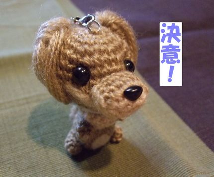 決意だね