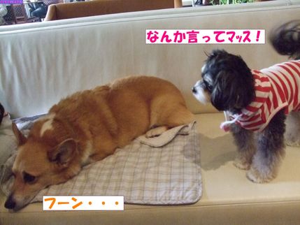 ふーん