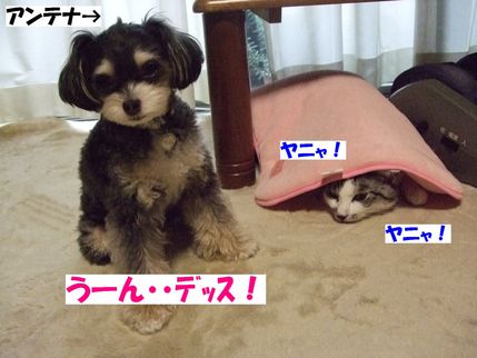 うーん