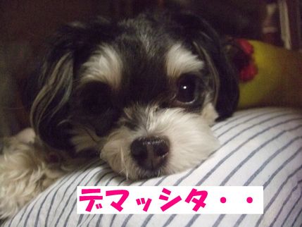 でた