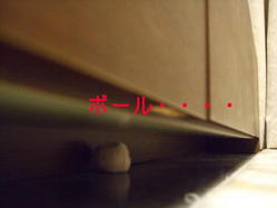 ボール